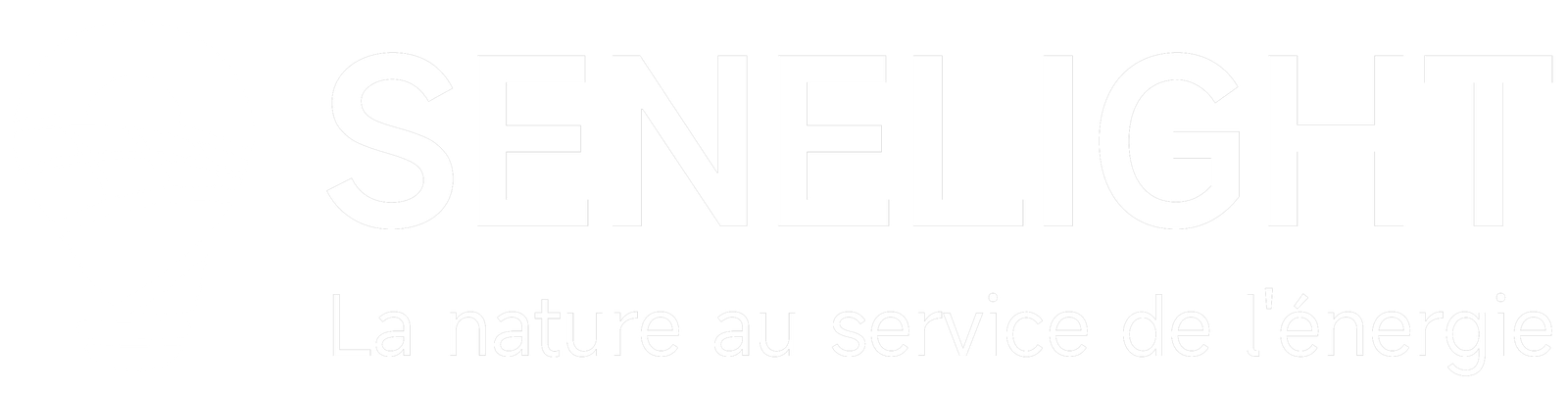 senelight.lindor.dev